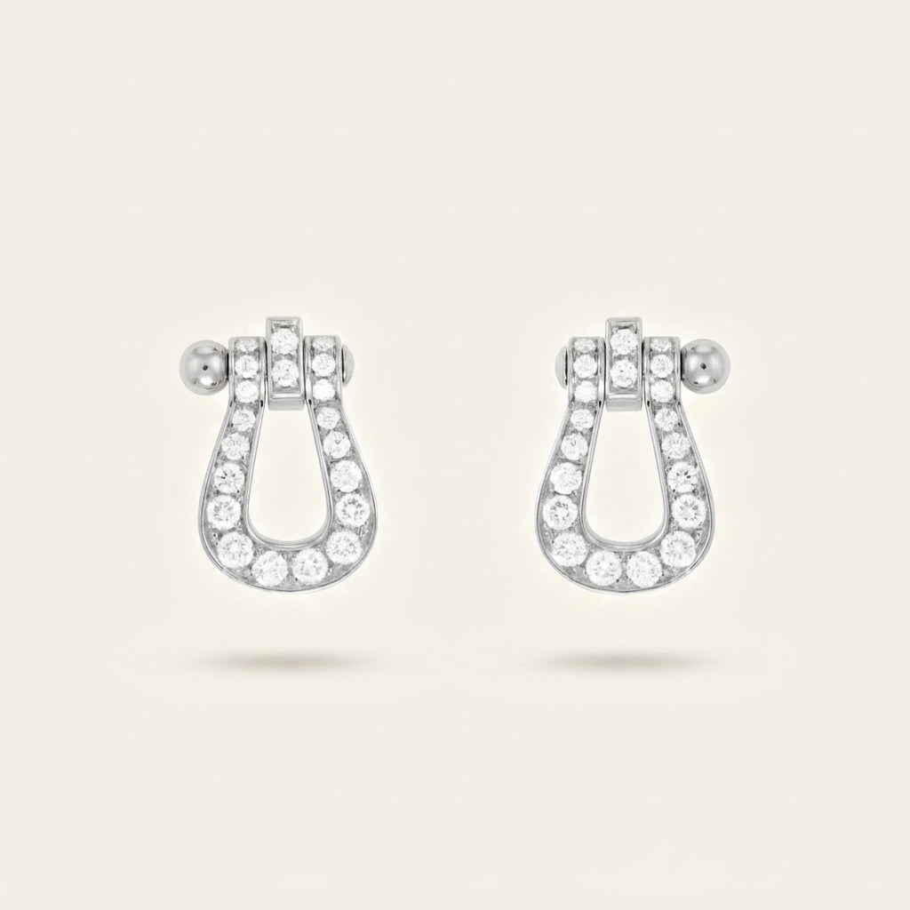Boucles d'Oreilles Force Argent